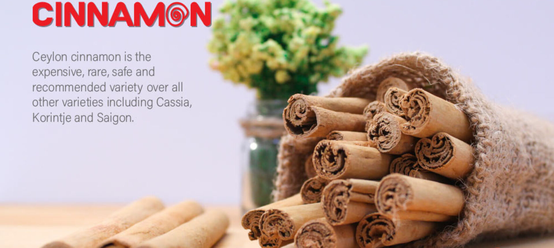 The World’s Best Cinnamon.