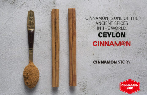What makes True Ceylon Cinnamon unique?